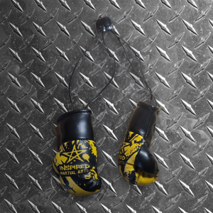 Hanging Mirror Boxing Gloves
